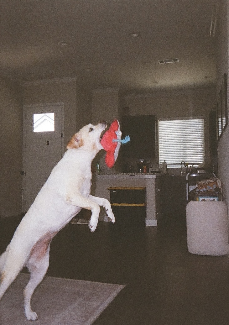 A black and white portrait of a person looking thoughtful.